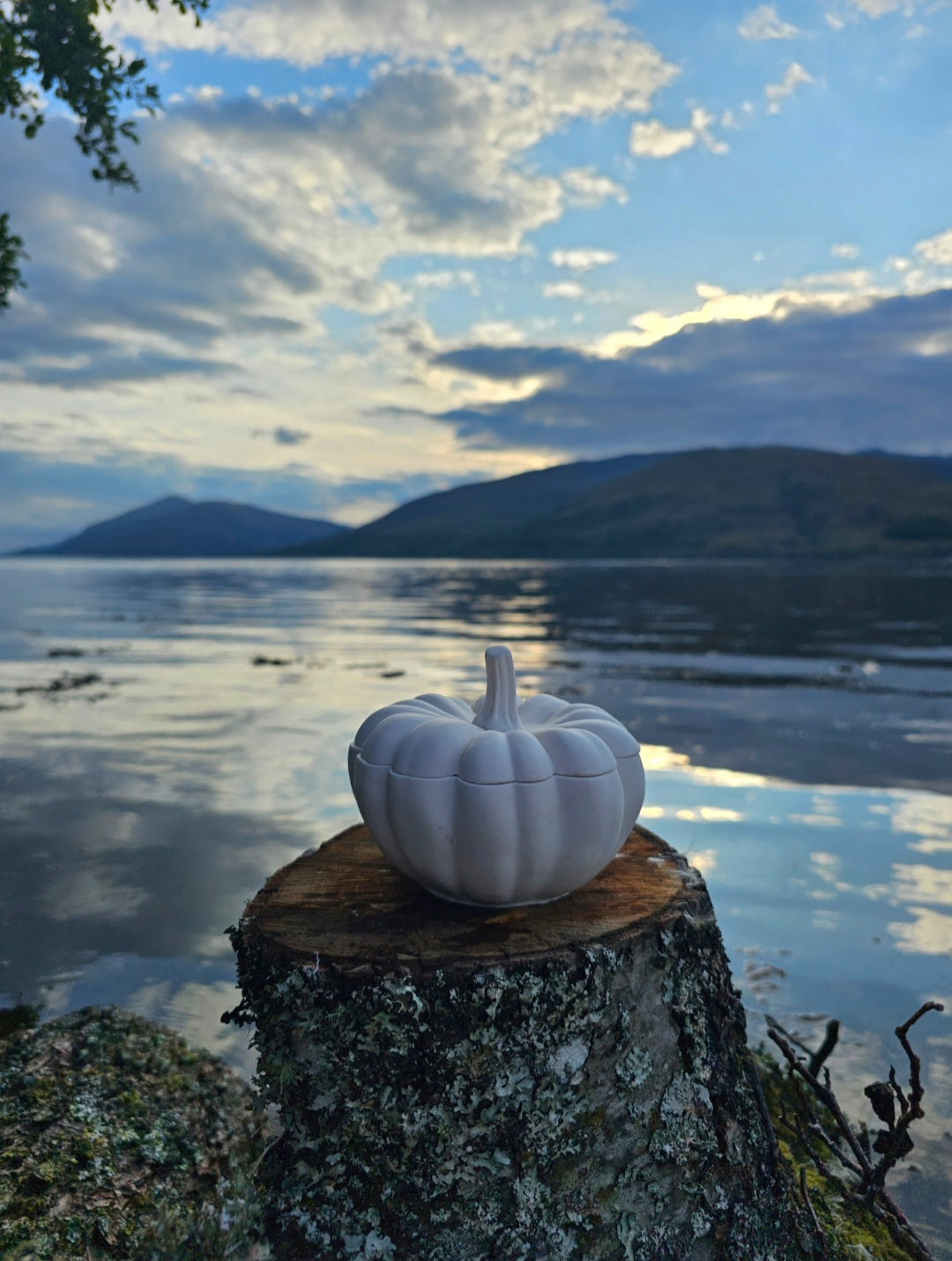 Handmade Pumpkin Vessel (Pre Order)