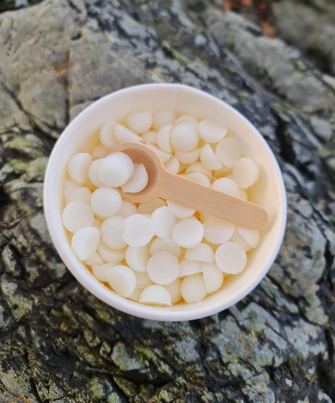 Scoopie Wax Melt Dot Pot